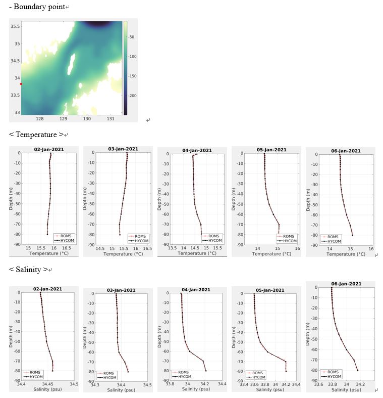 roms_result_vertical_profile.JPG